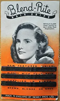 Grips: Pack of Blend-Rite hair grips - Petula Clark