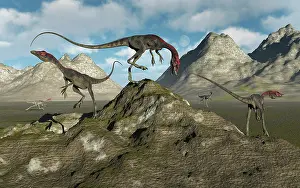 Plateau: A pack of carnivorous Compsognathus dinosaurs