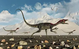 Longipes: A pack of carnivorous Compsognathus dinosaurs during ?