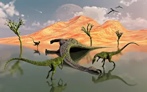 Dilophosaurus: A pack of carnivorous Dilophosaurus discover a dead sauropod