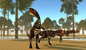 Markings: A pack of carnivorous Rajasaurus dinosaurs hunting prey