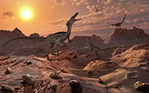 Howling: A pack of carnivorous Velociraptors from the Cretaceous ?