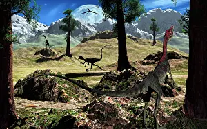 Longipes: A pack of Compsognathus dinosaurs searching for their next ?