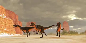 Overcast: A pack of Cryolophosaurus theropod dinosaurs are