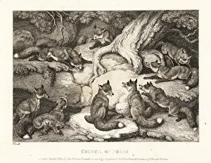 Samuel Howitt: A pack of foxes meeting in a forest