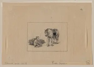 Bundles: Pack horse