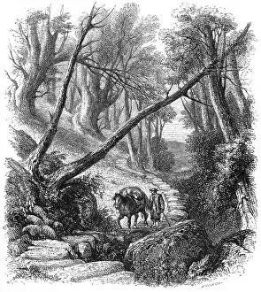 Packhorses: Pack Horse, Yorkshire
