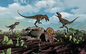 Nanotyrannus: A pack of Nanotyrannus dinosaurs attacking a lone ?