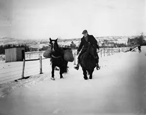 Snowed: Pack ponies in the snow