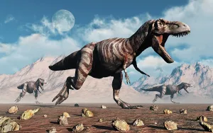Tyrannosaurus: A pack of T-rex dinosaurs hunting during Earth's