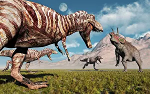Triceratops: A pack of T-rex dinosaurs moving in for the kill