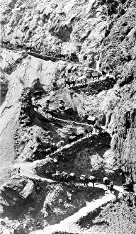 Suspension: Pack Train, 20th Century