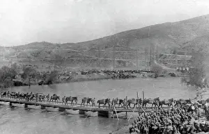 Mules: Pack train in Serbia, 1916