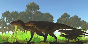Fern: A pack of Tyrannotitan dinosaurs hunting for prey