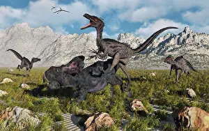 Velociraptor: A pack of Velociraptors attack a lone Protoceratops