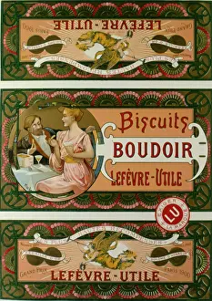Diploma: Packaging design for Boudoir Biscuits