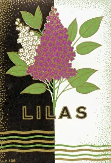 Lilac: Packaging design for Lilas perfume