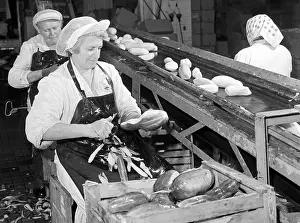 Cucumbers: Packaging vegetables - peeling - cucumbers - female workers