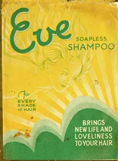 Shampoo: Packet design, Eve Soapless Shampoo