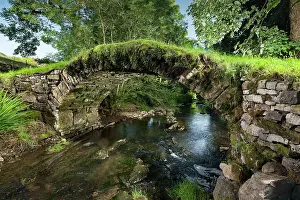 Packhorse: Packhorse Bridge DP