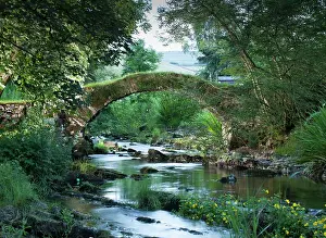 Packhorse: Packhorse Bridge DP