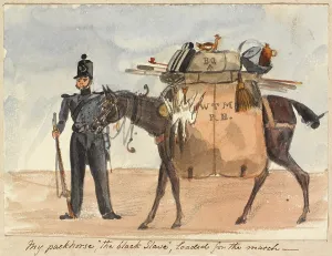 Purchased: My packhorse, ?the black slave?, loaded for the march