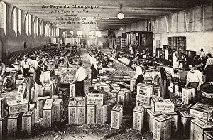 Chandon: PACKING MOET BOTTLES