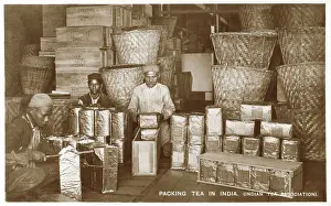 Packer: Packing Tea in India - Indian Tea Association