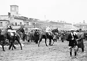 Paddock: The Paddock Doncaster Race Course possibly 1920s
