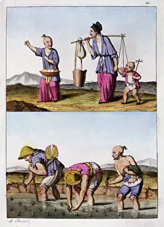Trader: Paddy field - planting rice (bottom): Men are