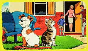 Disagreement: Paddy Paws