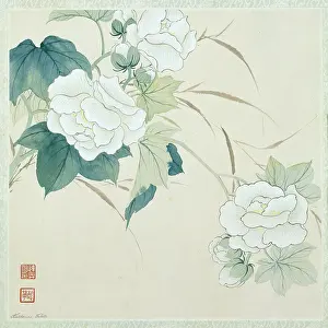 Paeonies: Paeonies and Reeds