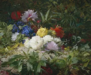 Jabez: Paeonies, Roses and Delphiniums