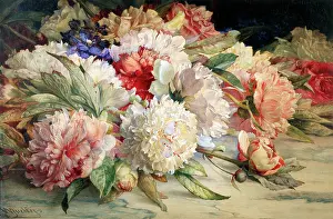 Jabez: Paeonies ' white and pink flowers