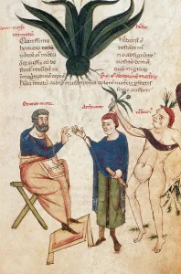 Medicina: Page from Celsus's De Medicina