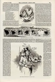 1843: Page from The Illustrated London News, 23rd December 1843, page 409