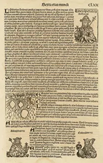 1488: Page from Meisterlin's Nurnberger Chronik