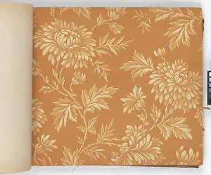 Page from New Artistic Wall Papers