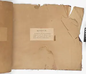 Ripped: Page from New Artistic Wall Papers