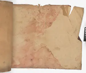 Ripped: Page from New Artistic Wall Papers