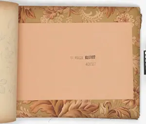 Aspinall: Page from New Artistic Wall Papers