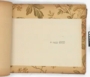 Aspinall: Page from New Artistic Wall Papers