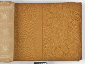 Aspinall: Page from New Artistic Wall Papers
