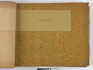 Aspinall: Page from New Artistic Wall Papers