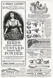 Wholesale: Page of Victorian adverts - 1889