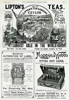 Glycerine: Page of Victorian advertisements 1896