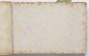 Marbling: Page from a wallpaper sample book