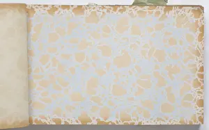 Marbling: Page from a wallpaper sample book