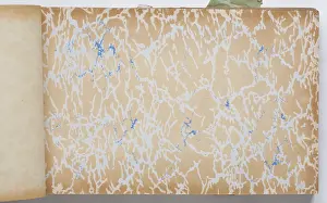 Marbling: Page from a wallpaper sample book