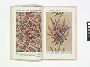 Foxglove: Pages from Hamptons catalogue, c.1929-1930